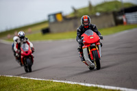 PJ-Motorsport-2019;anglesey-no-limits-trackday;anglesey-photographs;anglesey-trackday-photographs;enduro-digital-images;event-digital-images;eventdigitalimages;no-limits-trackdays;peter-wileman-photography;racing-digital-images;trac-mon;trackday-digital-images;trackday-photos;ty-croes